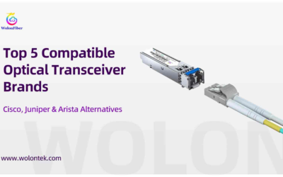 Top 5 Compatible Optical Transceiver Brands (Cisco, Juniper & Arista Alternatives)