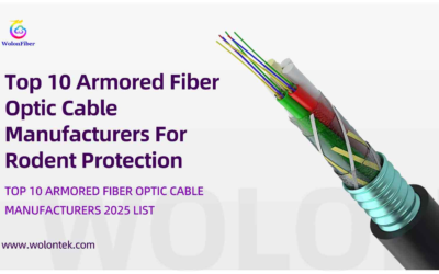 Top 10 Armored Fiber Optic Cable Manufacturers For Rodent Protection