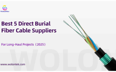 Best 5 Direct Burial Fiber Cable Suppliers For Long-Haul Projects(2025)