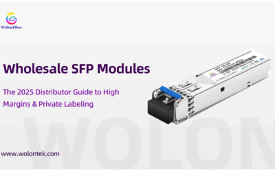 Wholesale SFP Modules: The 2025 Distributor Guide to High Margins & Private Labeling