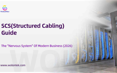 SCS(Structured Cabling) Guide: The “Nervous System” Of Modern Business (2026)