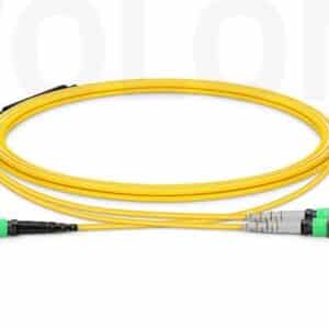 1m OM4 MTP®‑16 APC to 2×MTP®‑8 APC Breakout Cable Plenum Type B