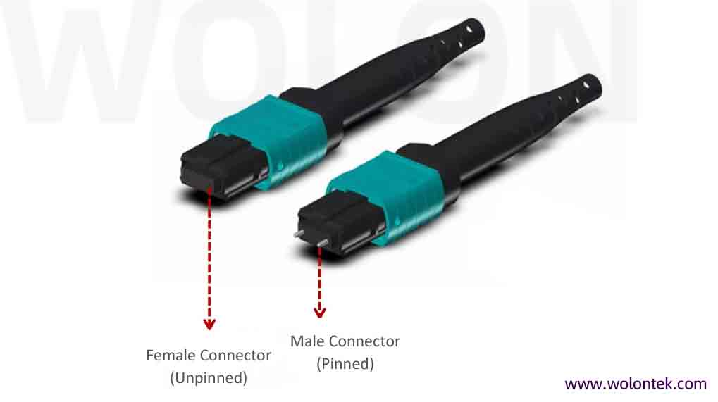 MTP Connector Gender: Male vs Female