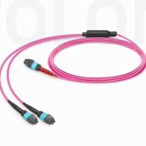 24-Fiber MTP-24 to 2x MTP-12 UPC breakout conversion cable OM4 Type A for 100G 120G migration