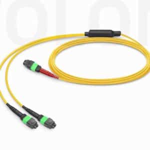 24-Fiber MTP-24 to 2x MTP-12 APC conversion breakout cable OS2 singlemode Type A high capacity