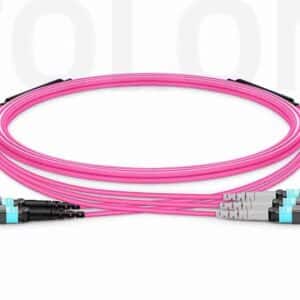 1m OM4 Multimode MTP® Breakout Cable with Dual MTP®‑12 UPC Outputs, Plenum (Type A)