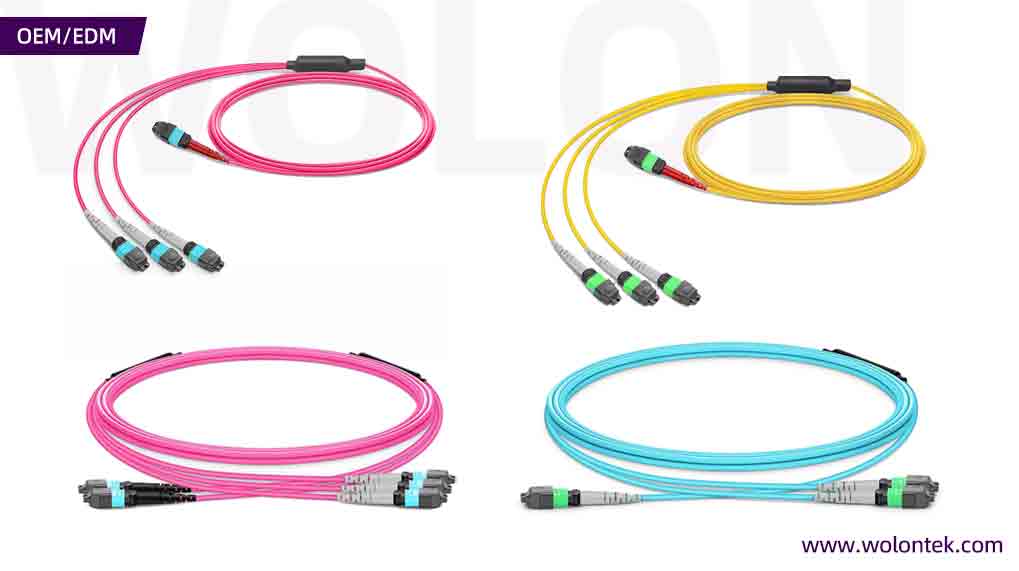 Custom OEM ODM MTP to MTP conversion breakout cable assembly by Wolontek direct factory
