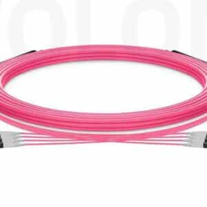 Magenta OM4 MTP-8 to MTP-8 trunk cable designed for 40G/100G Base-8 data center architecture, custom manufactured by WolonFiber.