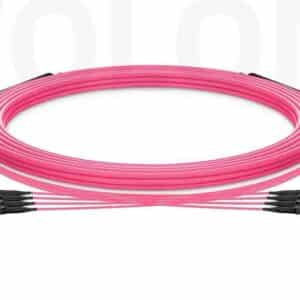 Pink OM4 MTP-12 to MTP-12 fiber optic trunk cable with US Conec connectors for high-density data center backbone, manufactured by Wolontek.