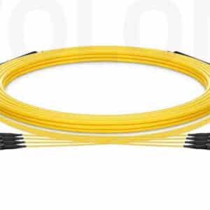 Custom MPO-MPO OS2 Singlemode 12-Fiber Trunk Cable, High-Density Backbone Solution