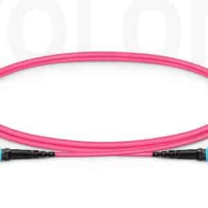 Magenta jacket Custom OM4 MTP-12 to MTP-12 patch cord featuring bend-insensitive multimode fiber for high-density 100G networks.