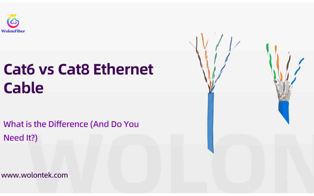 Cat6 vs Cat 8 Ethernet Cable: What is the Difference (And Do You Need It?)