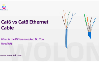 Cat6 vs Cat 8 Ethernet Cable: What is the Difference (And Do You Need It?)