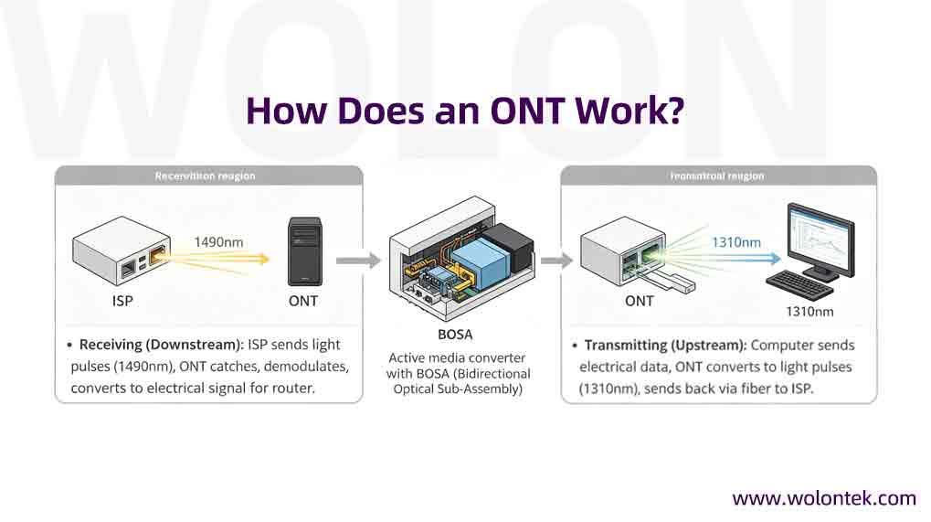 How Does an ONT Work?