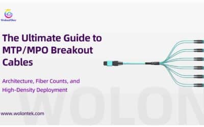 The Ultimate Guide to MTP/MPO Breakout Cables: Architecture, Fiber Counts, and High-Density Deployment