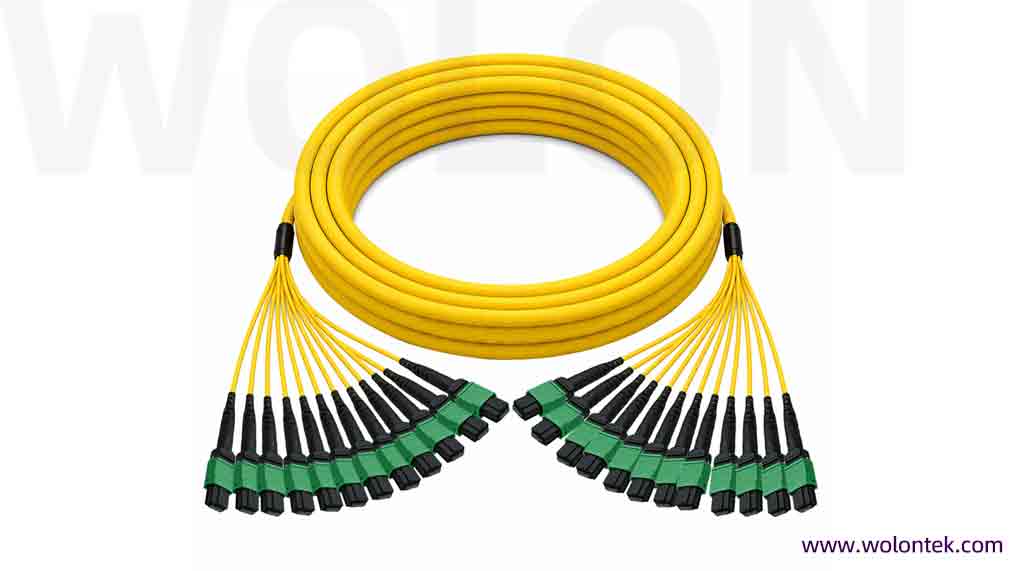 Custom 96-288 Fiber MPO/MTP Trunk Cable | 12x Connectors | WolonFiber