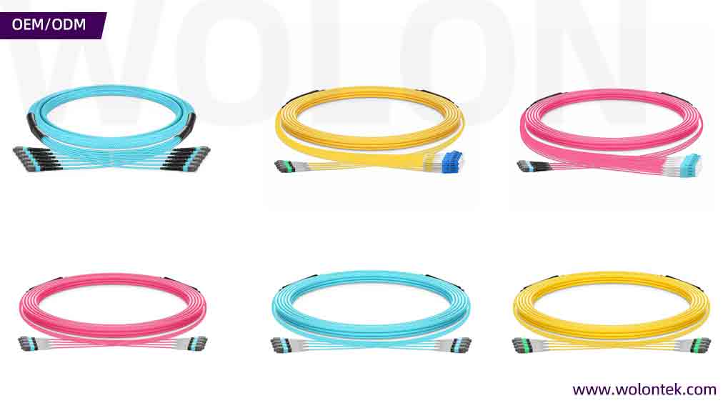 Structured Wiring Panel Examples MPO Trunk Cable: Types, Fiber Counts, Polarity and Data Center ...